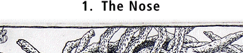 1.  The Nose