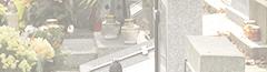IMG0391a