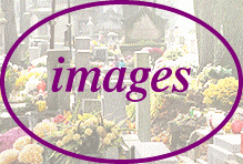 Oversigt over alle 107 fotografier