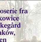 Fotoserie fra Rakowice Kirkeg&aring;rd, Krak&oacute;w Polen
