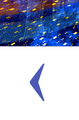    &ETH;