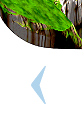    &ETH;