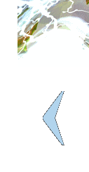   &ETH;