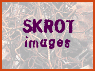 SKROT