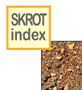 skinlk