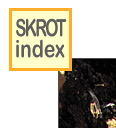 skinlk