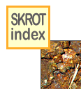 skinlk
