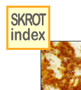 skinlk