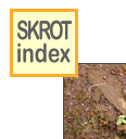 skinlk